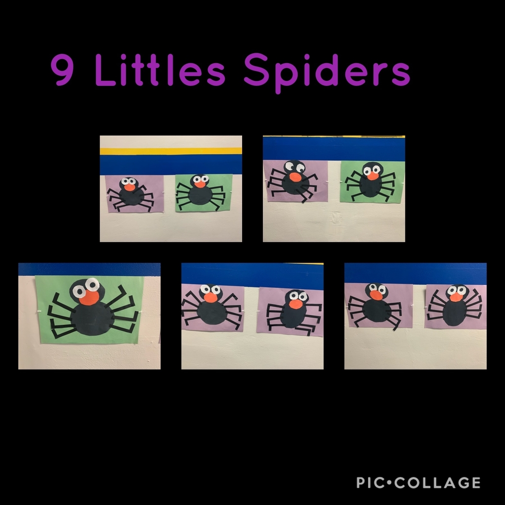 Kindergarten spiders 